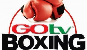 GOtv-Boxing-Night-Logo-300-400×230