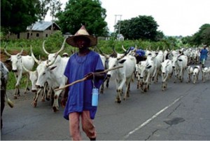 Fulani-Herdsmen-1
