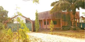 Nigeria lanuage