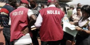 ndlea