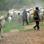 Fulani-Herdsmen-Nigeria-Most-Popular-News