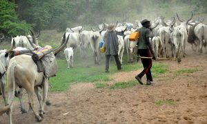 Fulani-Herdsmen-Nigeria-Most-Popular-News
