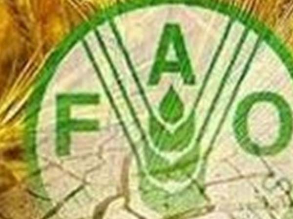FAO_2