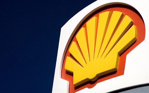 shell2-copy