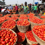 tomato-market