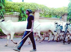 Herdsmen