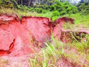 Abia Town erosion control.Lead pic