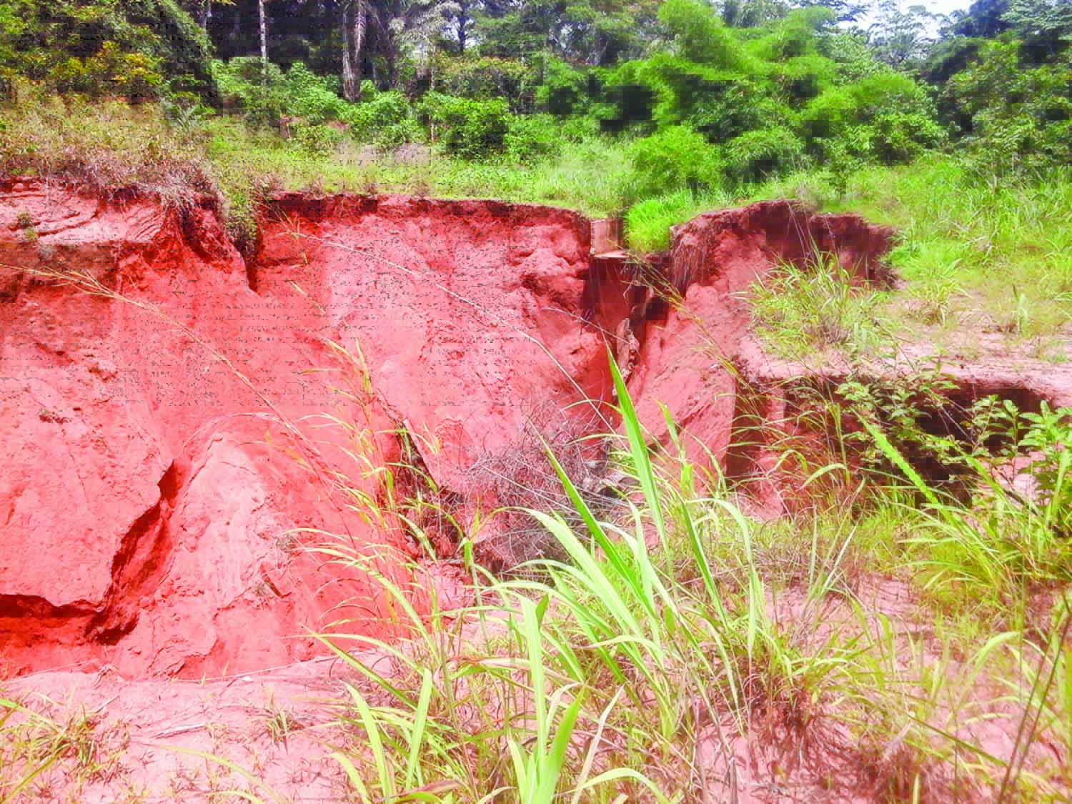 Abia Town erosion control.Lead pic