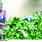 Farmer