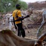 Fulani-herdsmen