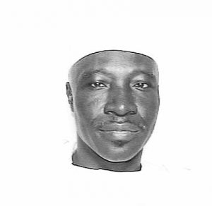 Senator Ali Wakili 2