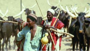 Fulani