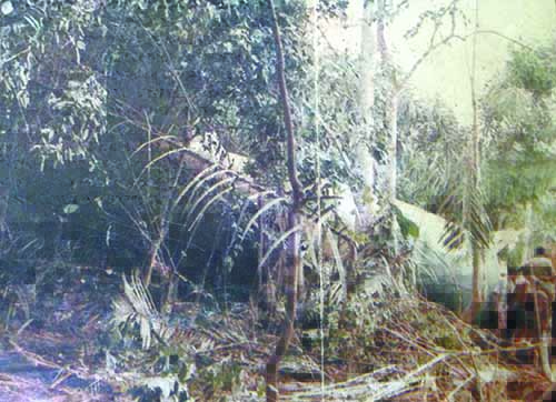 the-nigerian-air-force-c-130-hercules-air-crash-of-1992-1