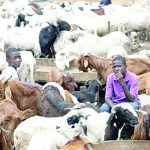 ram-sellers