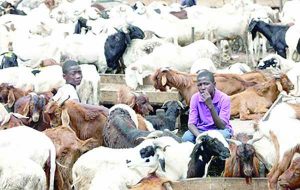 ram-sellers