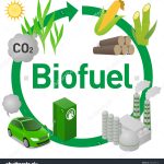 stock-vector–biofuel-life-cycle-biomass-ethanol-from-corn-sugarcane-wood-diagram-illustration-392427910