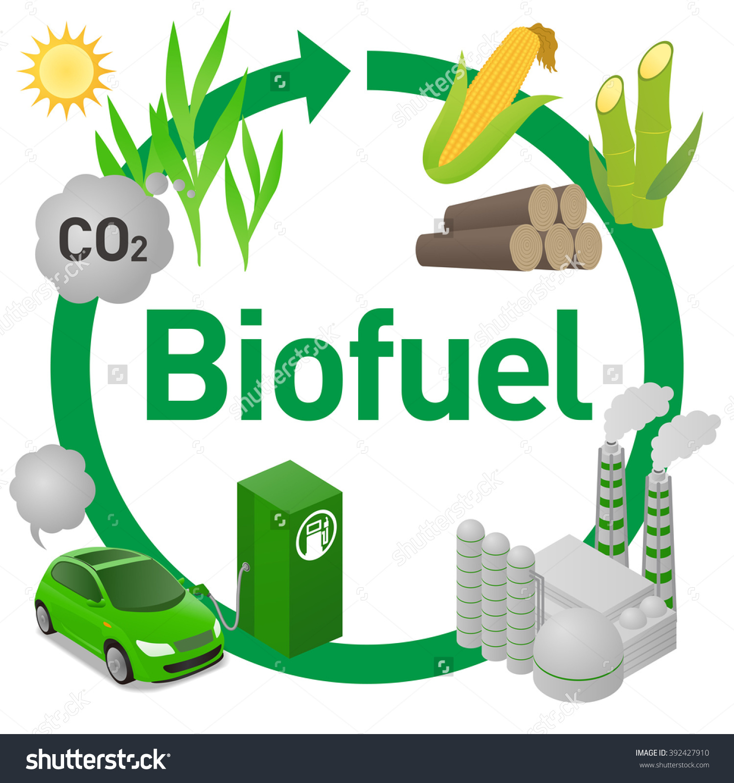 stock-vector–biofuel-life-cycle-biomass-ethanol-from-corn-sugarcane-wood-diagram-illustration-392427910