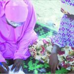 bokoharm-women-in-the-class