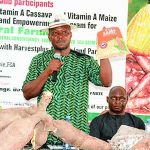 maize-specie