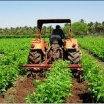 farming
