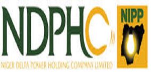 niger-delta-power-holding-company