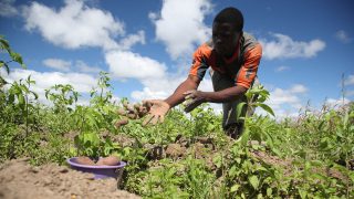 African-farmers-320×180