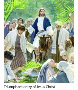 jesus-and-is-sheep