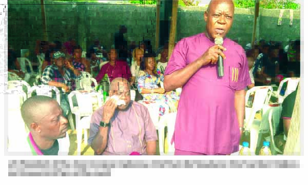 PRSIDENT NIBO