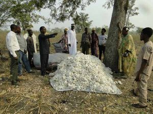 Cotton growers
