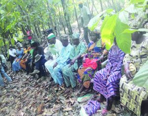 Farmers being trained in a cocoa plantation