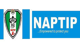 naptip
