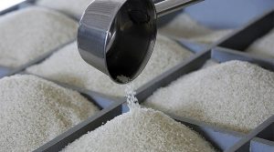plastic-rice