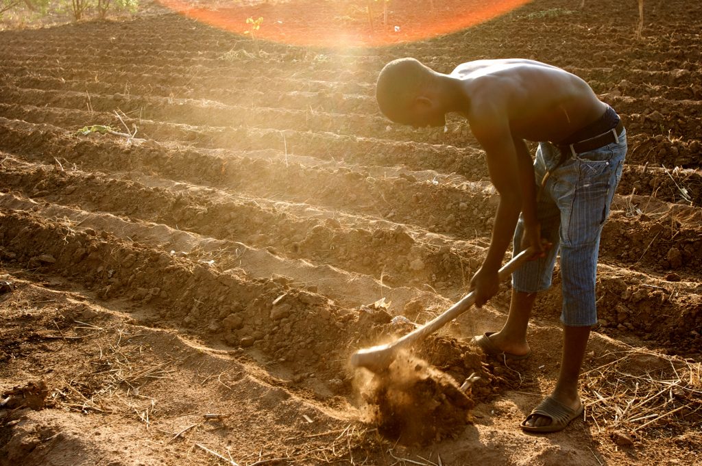 Africa_Food_Security_15_(10665294293)