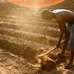 Africa_Food_Security_15_(10665294293)