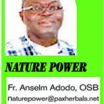 Nature Power