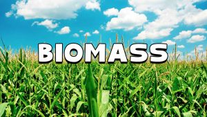 Biomass