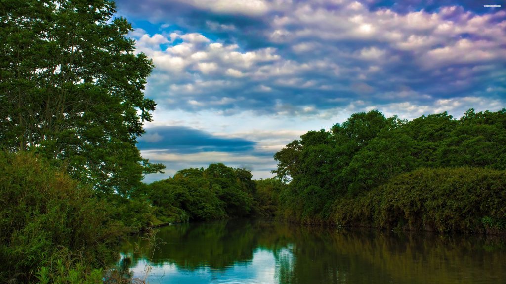 oto-river-nigeria-forest-tree-sky-cloud