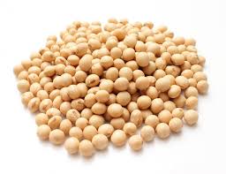 soya beans
