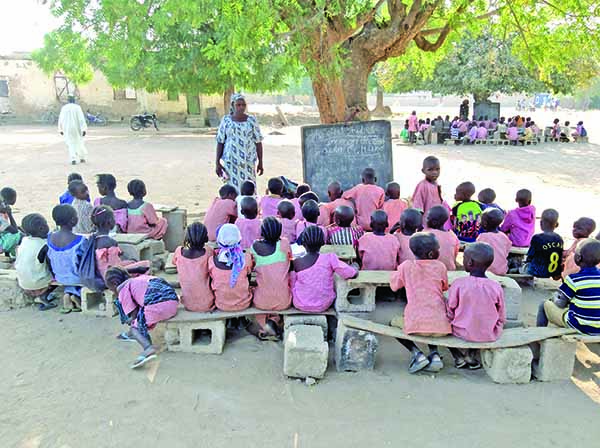 u[ils Under a tree learning