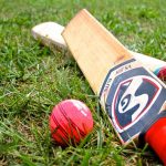 Cricket-1