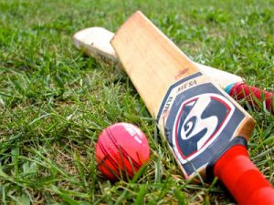 Cricket-1