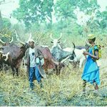 Herdsmen