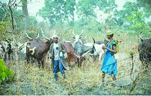 Herdsmen