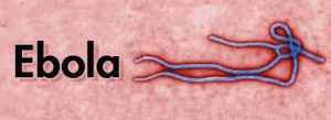 ebola