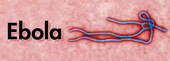 ebola