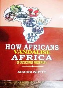 africa book cover