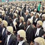 lawyers