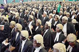 lawyers