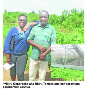 nkiru tomatoes
