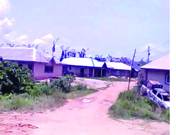 Isawo